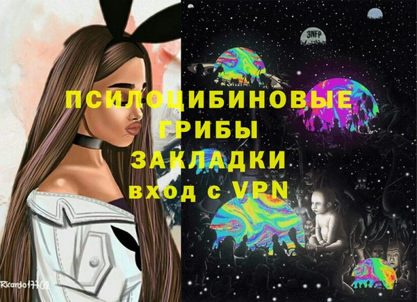 бошки Богородицк