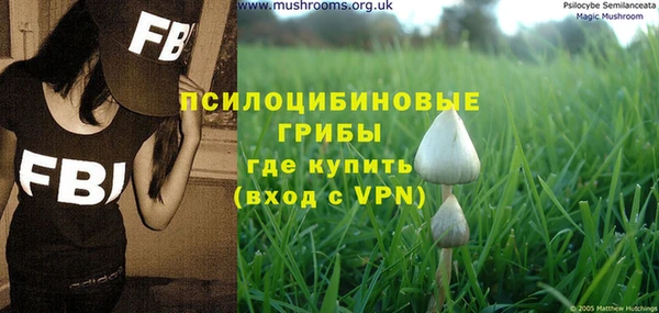 винт Белокуриха