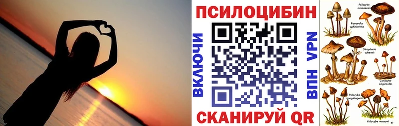 Галлюциногенные грибы мицелий  Тверь 